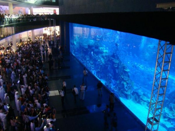 times square virtual aquarium