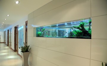 modern lobby fish tank