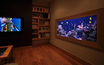 modern built in lobby fish tank