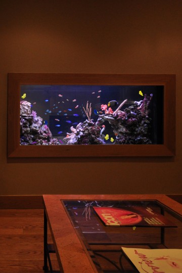 modern office fish tank aquarium