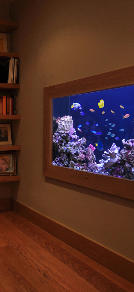 In Wall Fish Tank | Soho Apartment | Aquarium Architecture