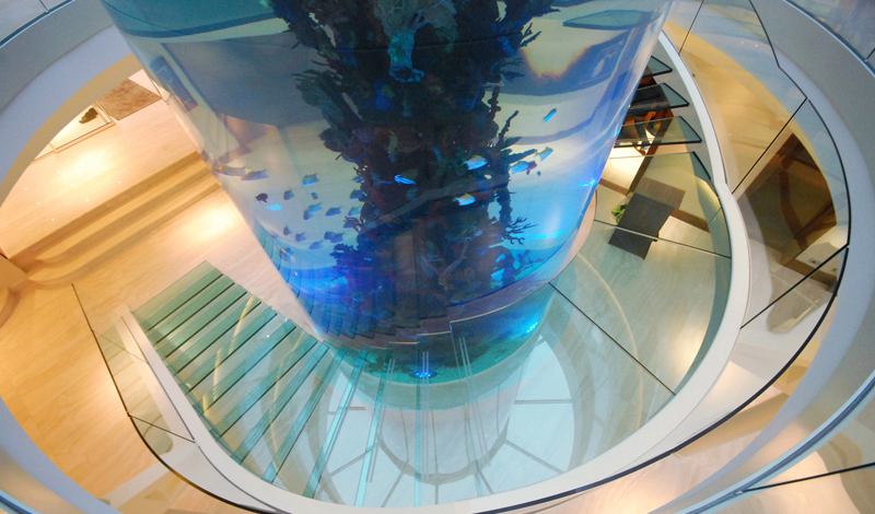 Astonishing Gleneagles fish tank - Gleneagles' Queen's ...