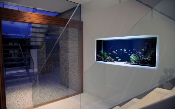 best minimal modern looking fish tank
