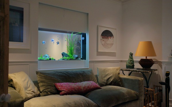 Built In Fish Tank Sherlock House Aquarium Architecture