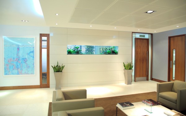 large modern fish tank for business lobby