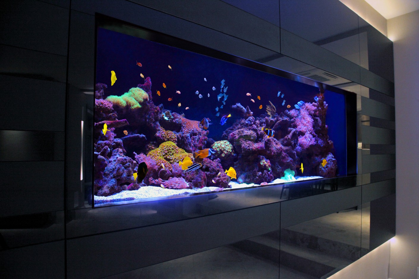 Aquariums Harrods Fish Tank Design And Installation   MG 1865a2 1410x940 