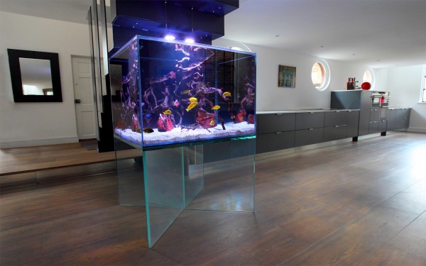 Glass Custom Made Aquarium Aquarium Architecture   Willans Custom Made Aquarium1 600x375 