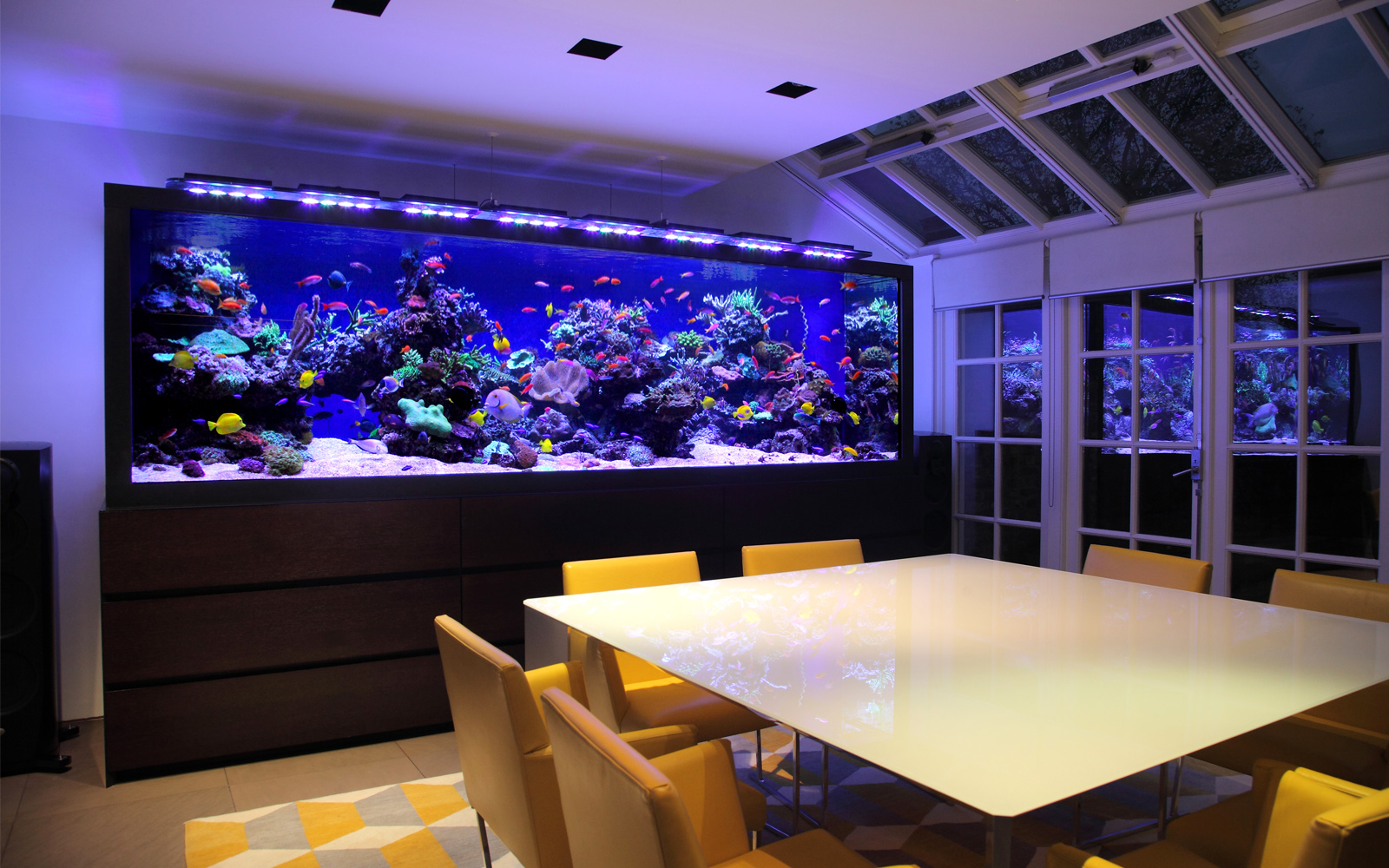modern contemporary interior fish tank
