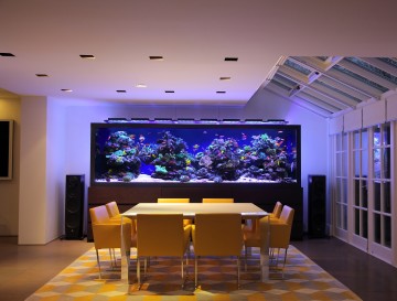 Luxury Aquarium Design for Residential and Commercial Premises