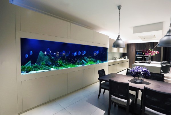 Custom Aquarium Fulham | Aquarium Architecture