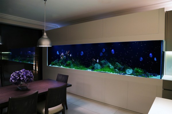 Custom Aquarium Fulham | Aquarium Architecture