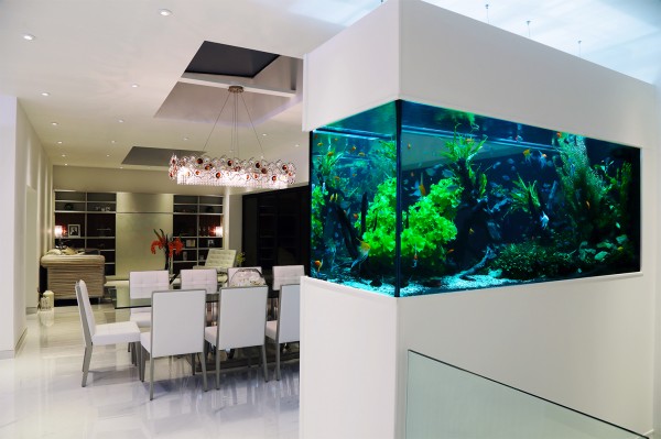 Contemporary Aquarium | Aquarium Architecture