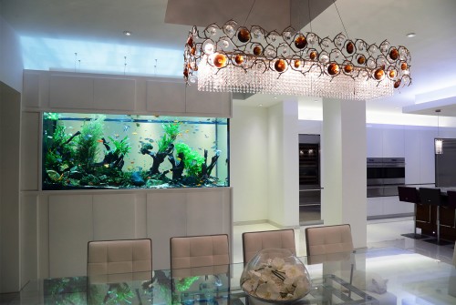 43+ Aquarium Design Ideas House HD Terbaik